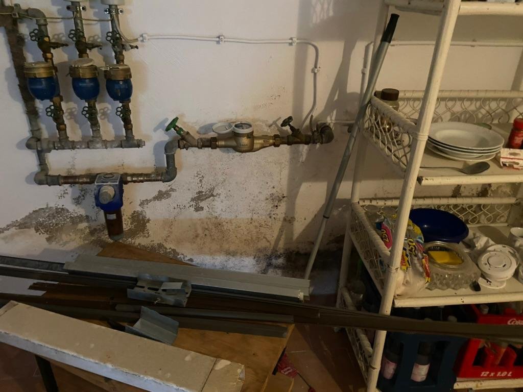 Schimmel und Abgehender Putz